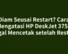 Diam Seusai Restart? Cara Mengatasi HP DeskJet 3755 Gagal Mencetak setelah Restart